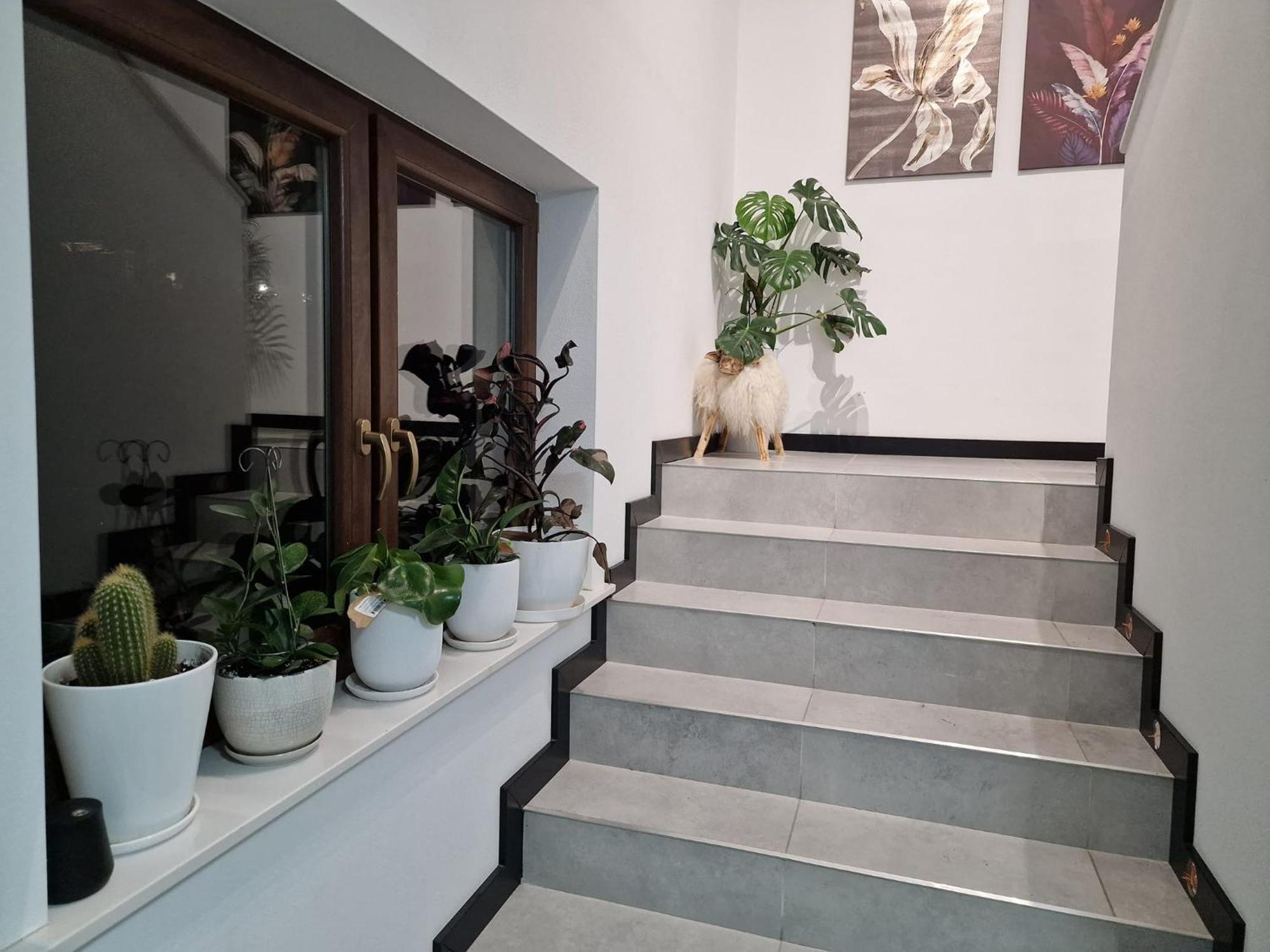 Male Ciche 36J Przy Ostrewkach, Widok Na Gory, Blisko Do Wyciagu Narciarskiego, Idealne Miejsce Na Wypad W Gory -Tarasowka-Zgorzelisko-Rusinowa Polana-Gesia Szyja-Palenica-Wiktorowki-Morskie Oko Murzasichle Esterno foto